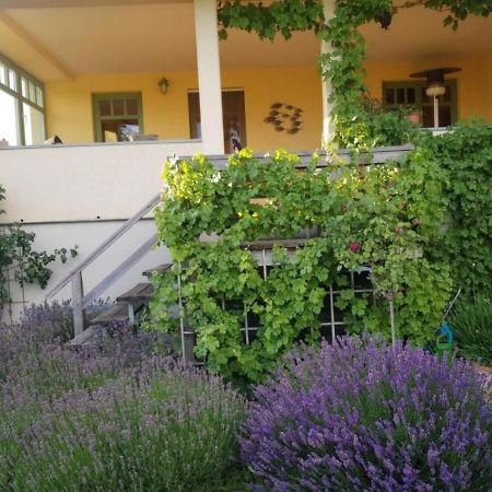 Ferienhaus Schiller Waren  Esterno foto