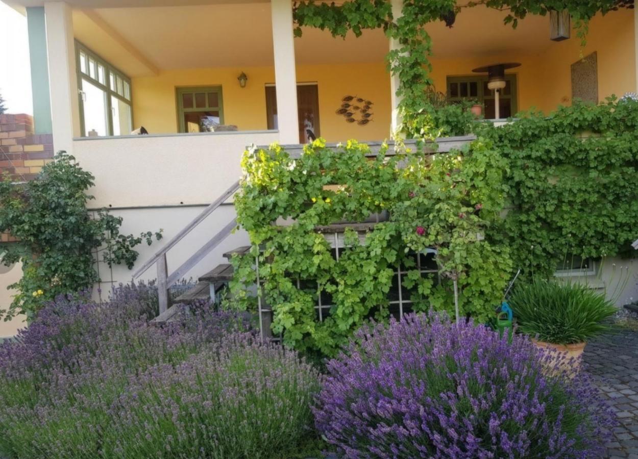 Ferienhaus Schiller Waren  Esterno foto